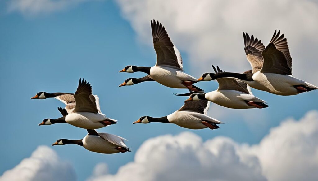 Discover The Fascinating World Of Geese - Fun Facts & Insights (2024)